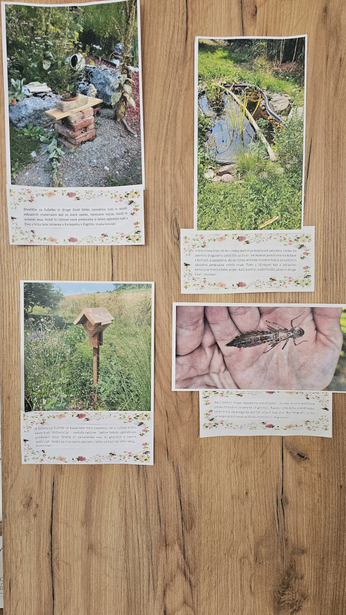 Fotografije na razstavi.